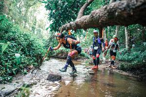 BIB: 
                            <button type="button" onclick="openModal(25369548)" class="btn btn-primary btn-sm float-right btn-popup" data-toggle="modal" data-target=".modal-high-quality">
                        <i class="fas fa-shopping-cart"></i> Add to Cart
                    </button>
                                            <button type="button" onclick="isThisMe(25369548, true)" class="btn btn-success btn-sm float-right btn-popup btn-isme hidden" data-toggle="tooltip" data-placement="bottom" title="นี่คือรูปของคุณใช่ไหม คลิกที่นี่เพื่อเอาเข้าอัลบั้ม">
                        <i class="fas fa-plus"></i> Add to album
                    </button>
                    <button type="button" onclick="isThisMe(25369548, false)" class="btn btn-warning btn-sm float-right btn-popup btn-isnotme hidden">
                        <i class="fas fa-ban"></i> Remove from album
                    </button>